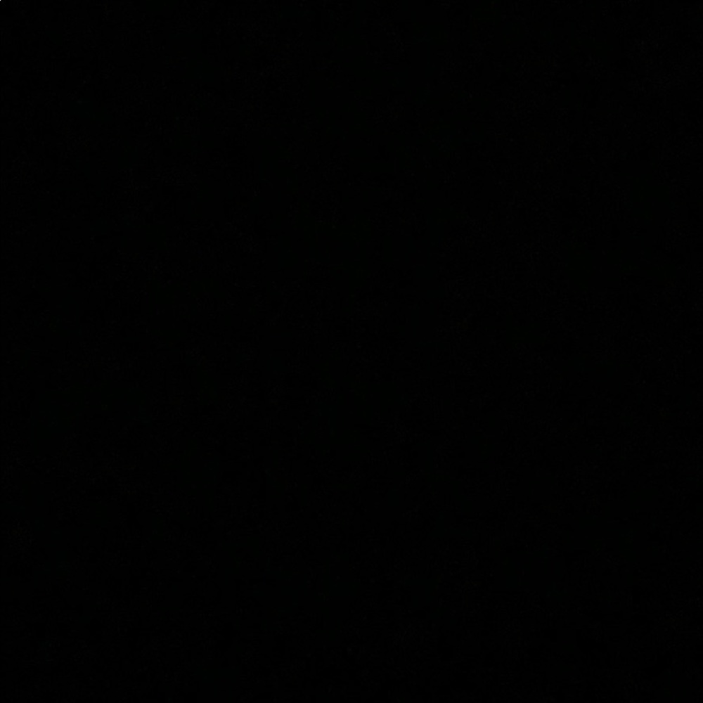 Meet your Posher, Nadine